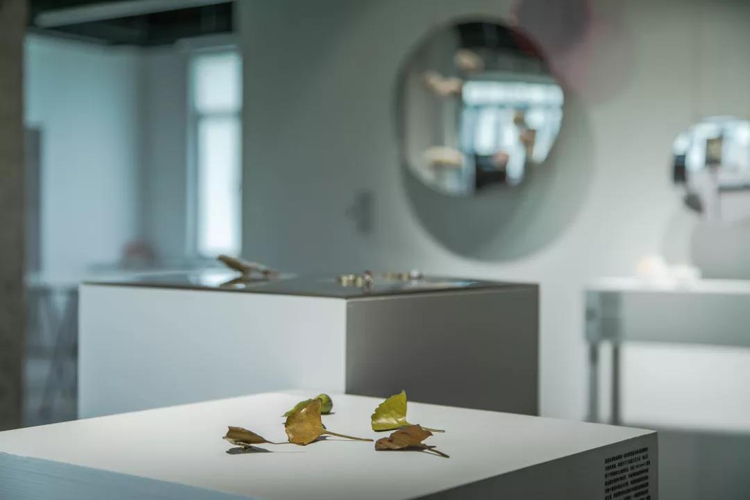 學(xué)生作品展覽空間