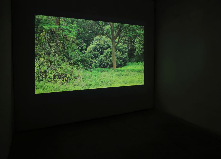 伍同學(xué)作品《旅程》