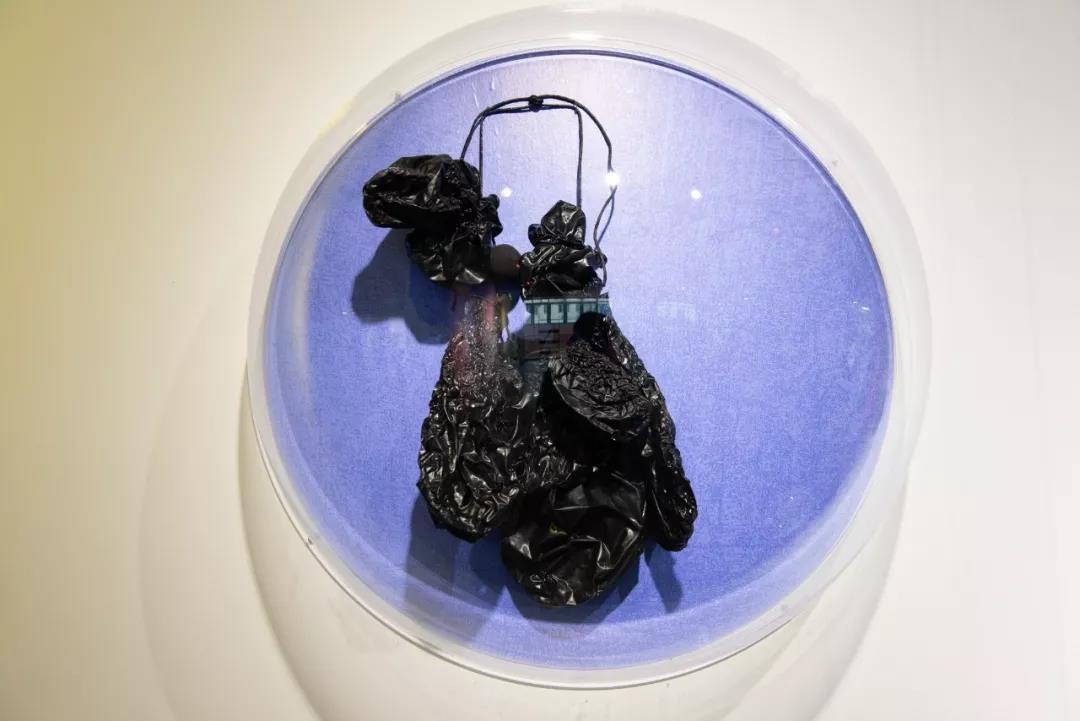 展廳現(xiàn)場(chǎng)