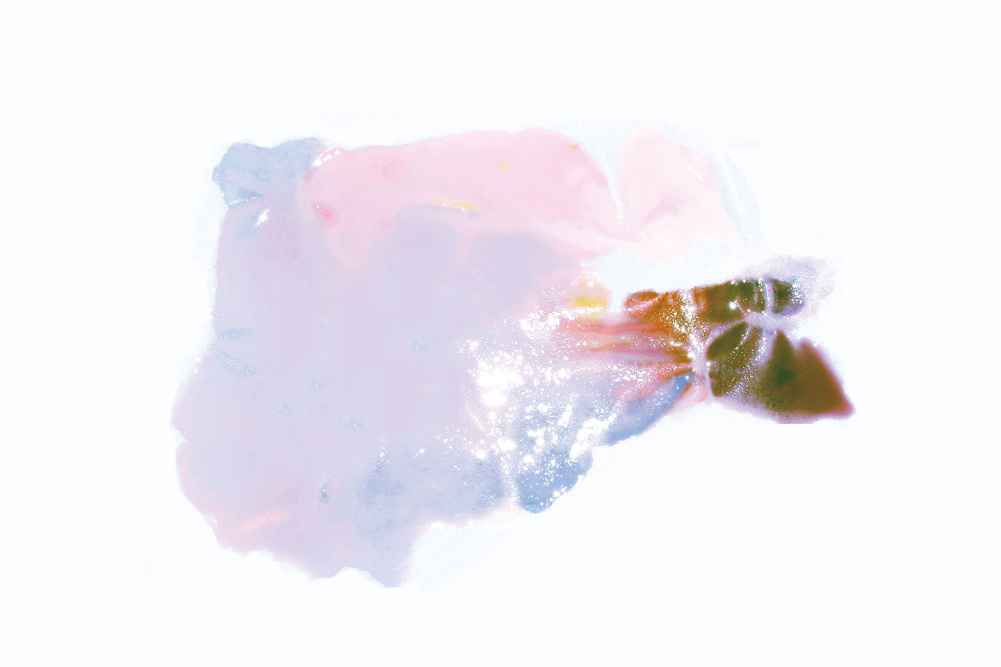 鄭智引 字體設(shè)計