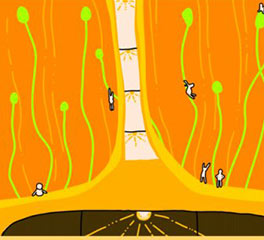 楊梓懿 插畫設(shè)計(jì) 本科預(yù)科