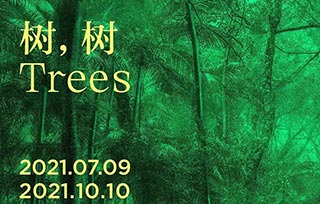 AIVA Guide | 高溫來襲，我們在美術館避暑，7月好展推薦