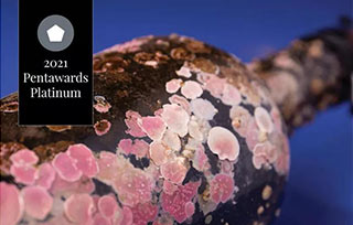 2021年“包裝設(shè)計奧斯卡”揭曉，全球最佳的8款作品長什么樣？