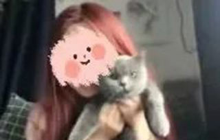 AIVA網(wǎng)課的畫風(fēng)，竟是大型云吸寵現(xiàn)場