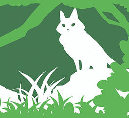 沈姝含 插畫設(shè)計(jì) 本科預(yù)科