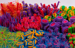 從畢業(yè)展了解RCA最新趨勢！皇藝2022畢業(yè)展線上觀展指南