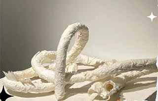 格拉斯哥純藝錄取丨人類(lèi)有“殼”嗎？我們又如何識(shí)別“人類(lèi)”？