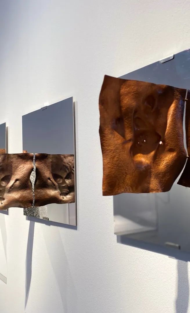 AIVA慕尼黑游學(xué)之旅